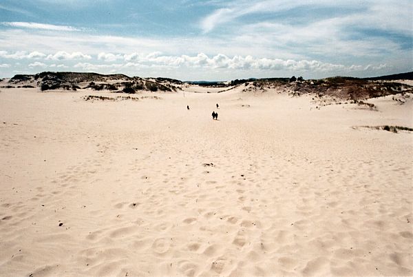 Sahara Polska