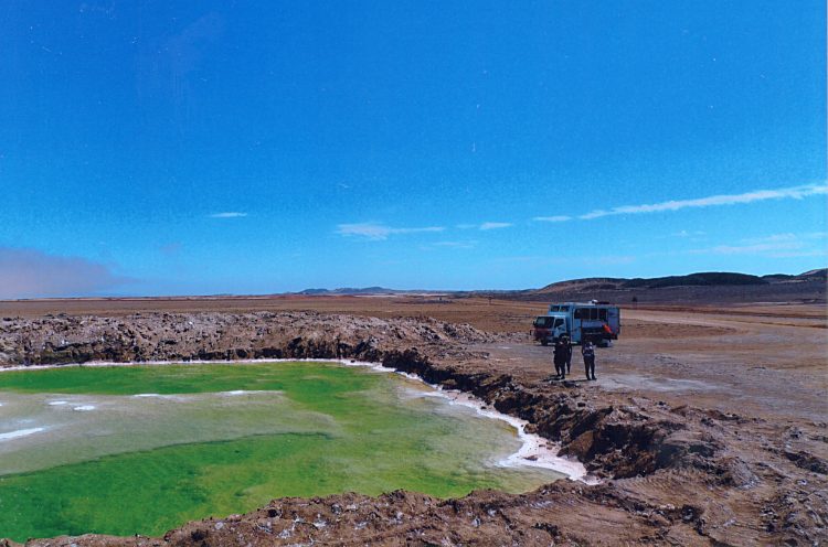 Salz in der Namibwüste