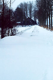 Holtermoor im Winter
