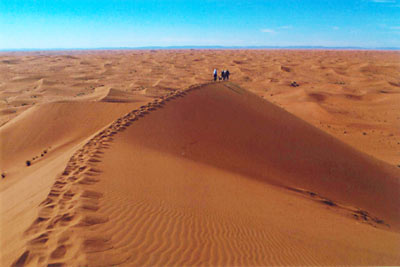 Sahara 2010