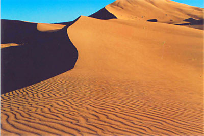 Sahara 2010