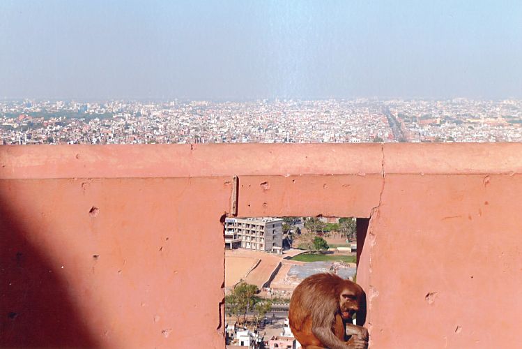 Jaipur