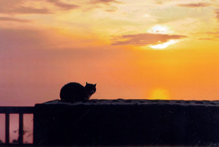 Manuel genießt den Sonnenuntergang