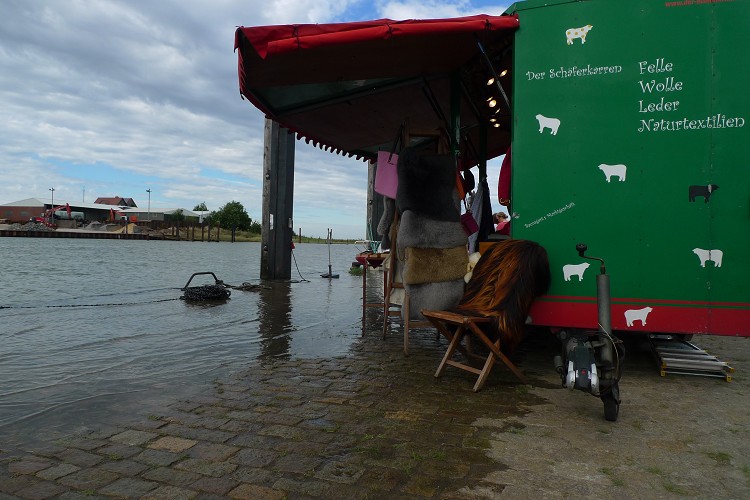 auch die Nordsee kommt vorbei