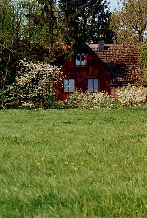 Holtermoor